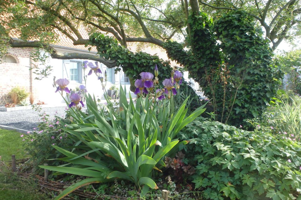 Au Reve En Somme Bed & Breakfast Hautvillers-Ouville Exterior foto